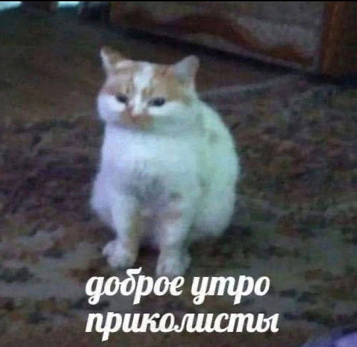 m0wervnN0r3VfjZXvi1soWGNJqFIiPuox4BHljbHPreEddDQ7C-2SQ-flNwzac_dCCPdCxsjXswNcHaeFXCnBcV5