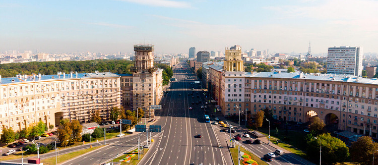 тени от деревьев почти черные