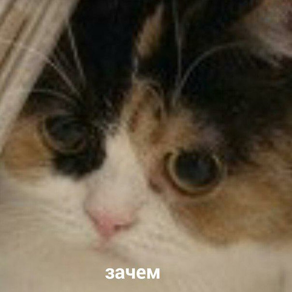 768be5f340230a33f56391c840647178_1920