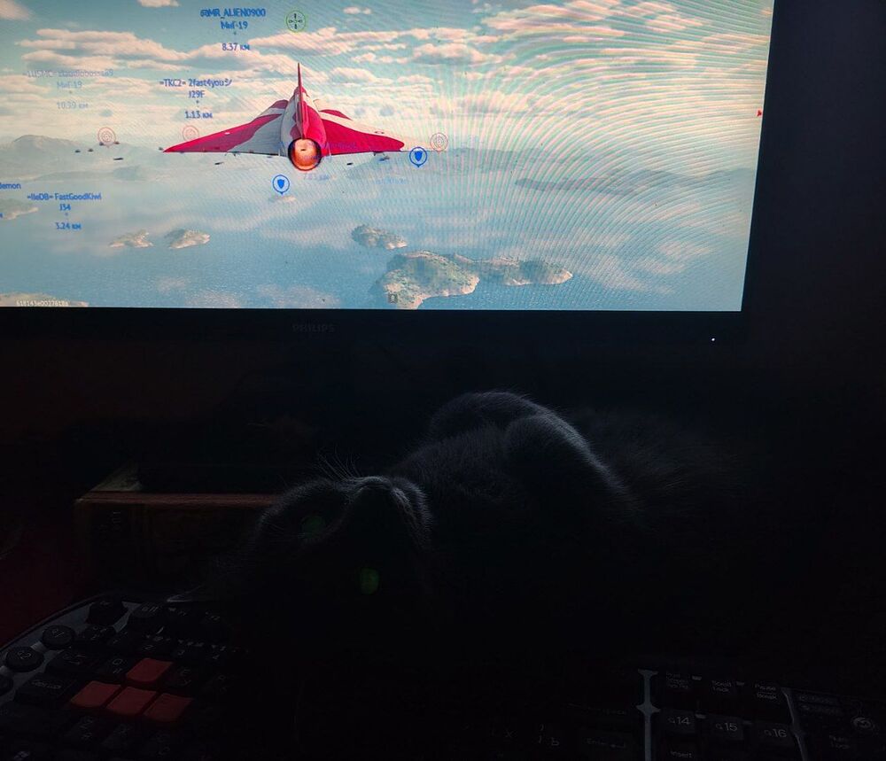 IMG_20260205_114840_971