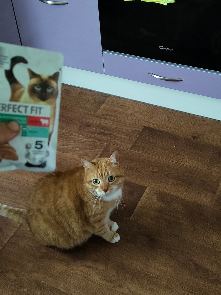 IMG_20260615_184020