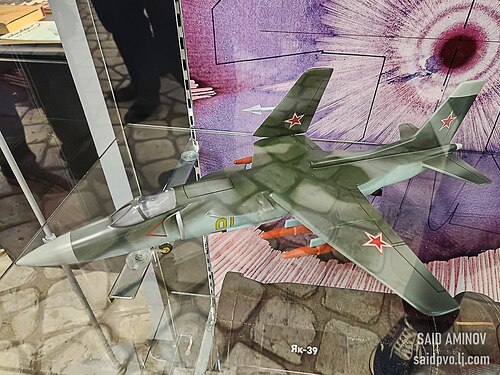 photo_2026-03-31_20-41-28 (3)