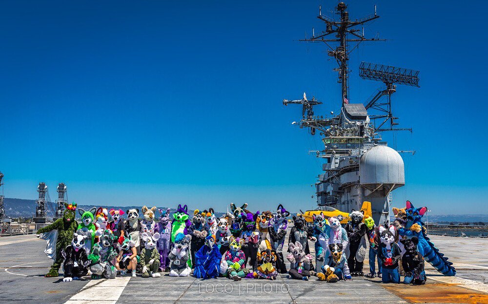 not-the-navy-furry-alarm-gosh-they-are-cute-uwu-v0-wj3posb6agca1
