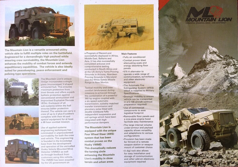 042 DCD Mountain Lion 1