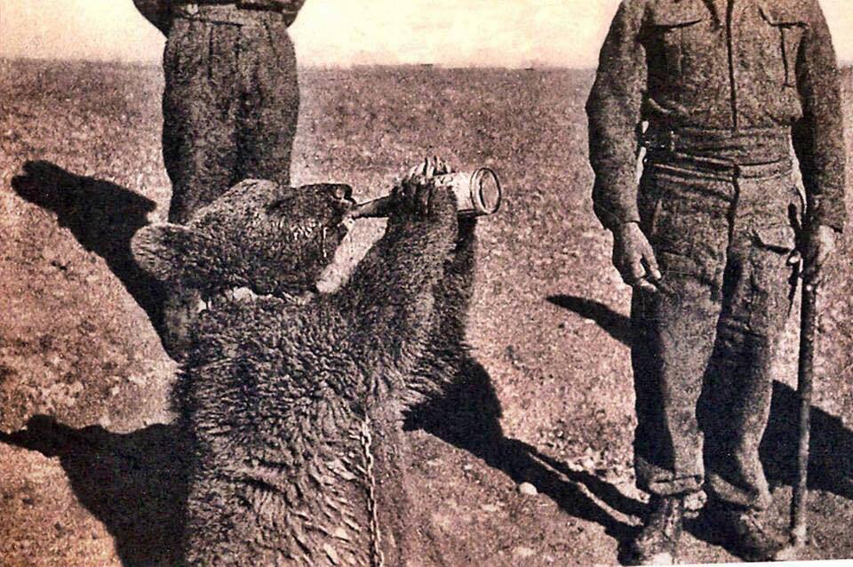 photo_2025-12-22_02-54-49