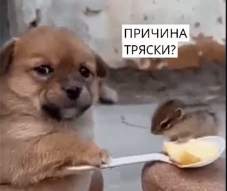 Без названия (2)