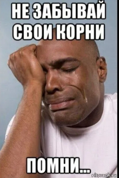 Screenshot_2026-01-23-14-43-29-622_com.yandex.browser-edit