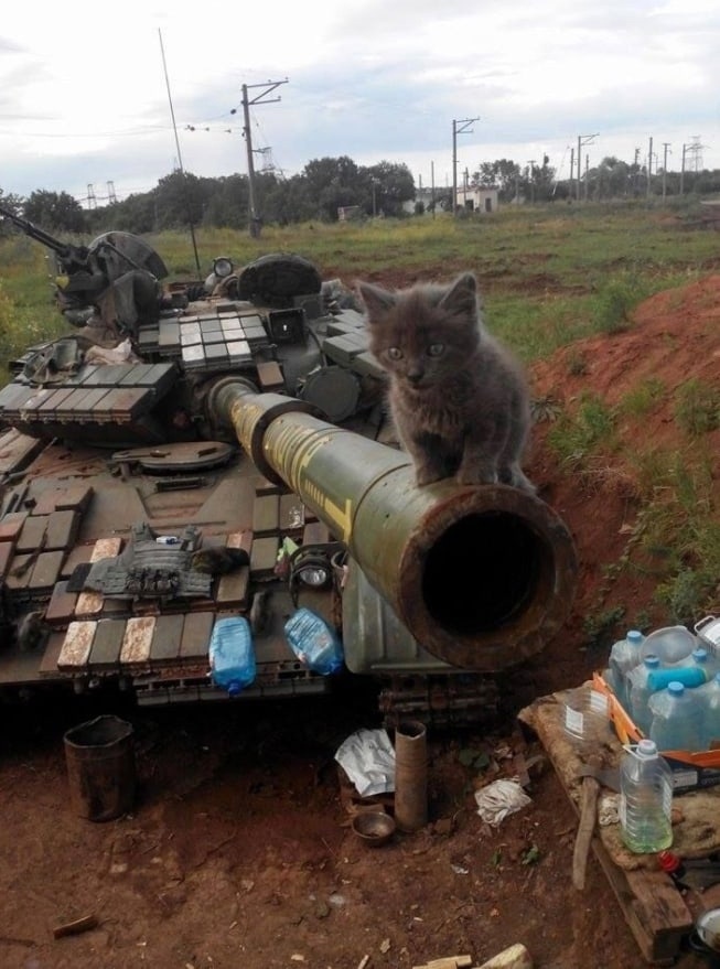 hMTDu6GUOh4Bsm3TMLoAWVyw_2i-ng4AmU-OIZ4I2rYorPGWq9GFimcADGPYFl3Nz8Uja8Sj6UsPHBdxHSAOkepQ