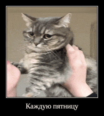 комару-komaru (1)