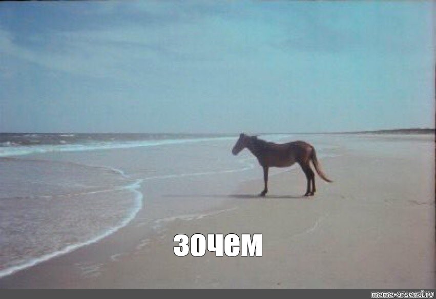 e889893de4bffc8ab52befd972b323e2