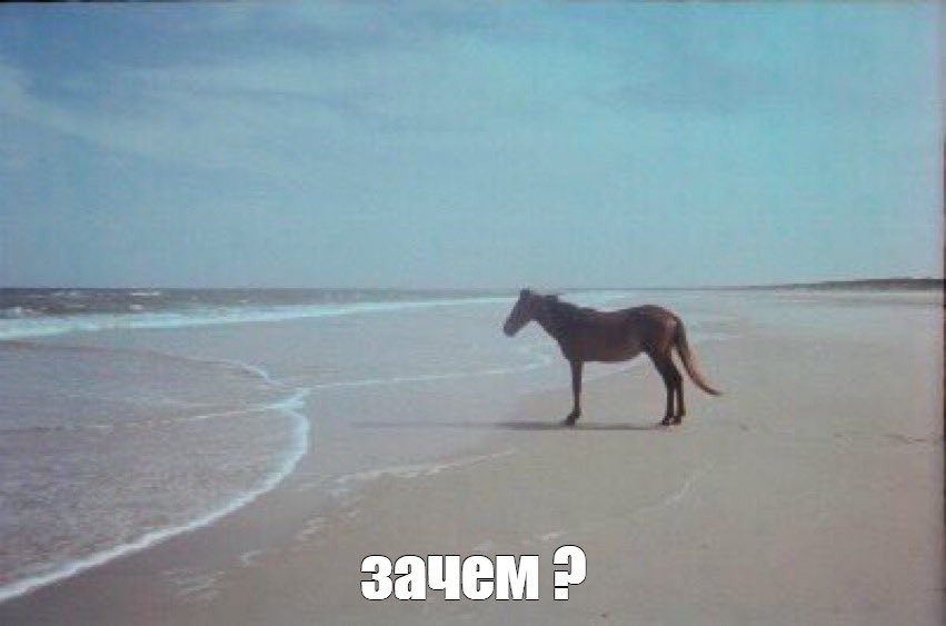 e56283f64dcbf1d4ee4ebfb111bff5ab