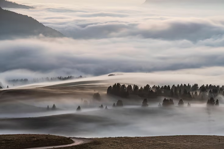 Безымянный