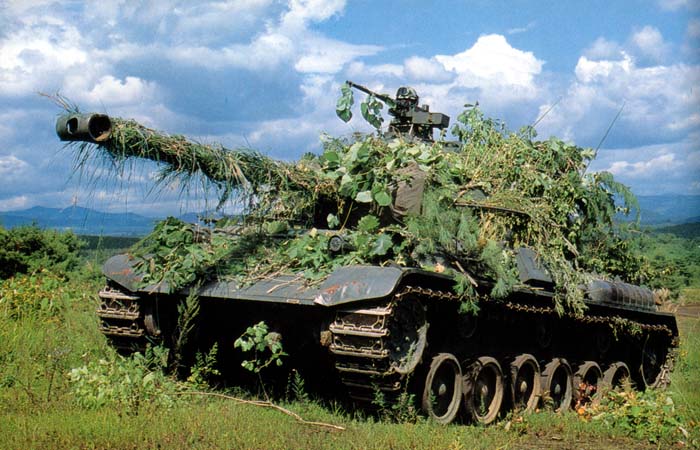 Camo-Type61-06-1