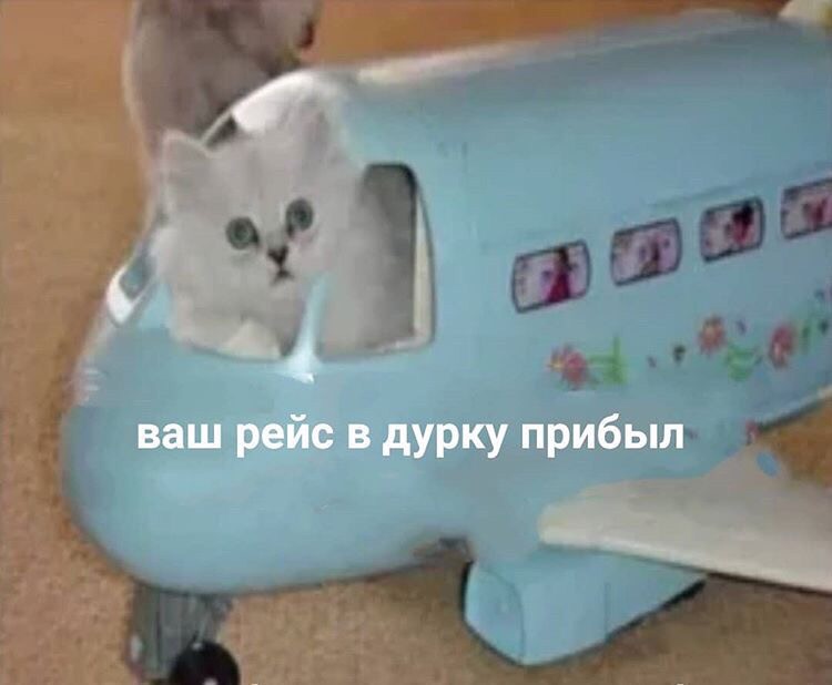 a8tWmr4vTpw