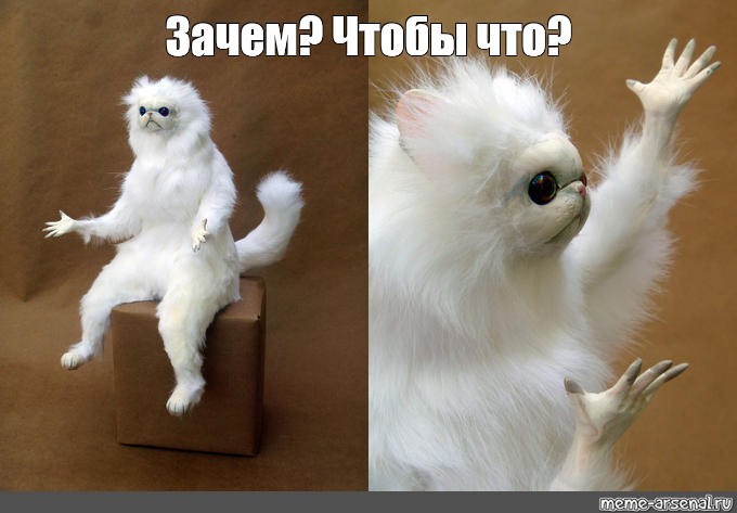 3b012eb6bf6b07769a736d89c17aad2a