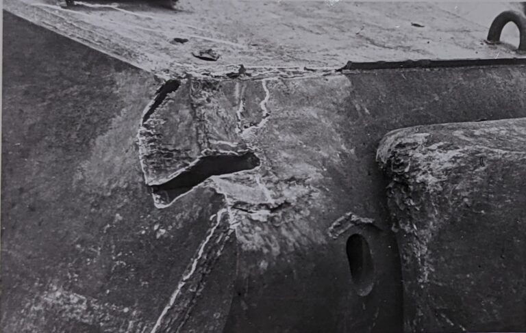 KewNov-6139-1-768x487