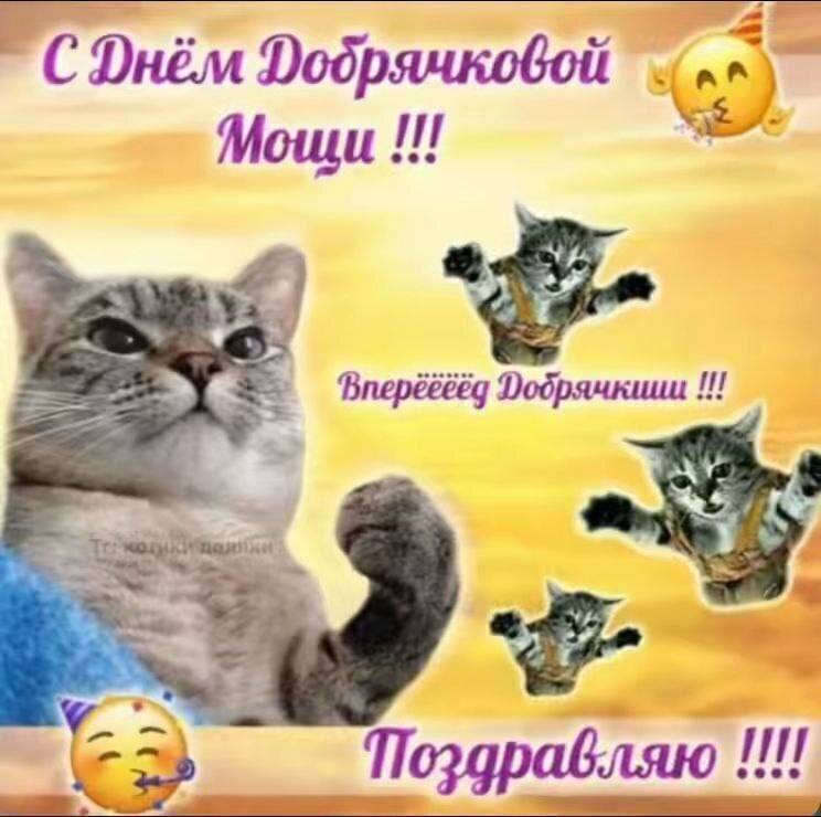 A0v2gcdeDvFVdx9KdkYnxAaDrR7YuiJhe2cODDUAdEMsH3gmJ5y0y2QBMY1r1wc12N3vJn13_SmfQV5MlaBa98i1