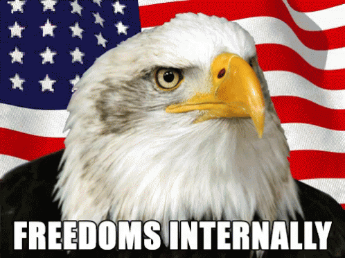 freedom
