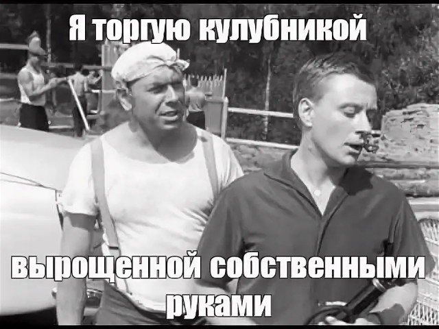 19445304