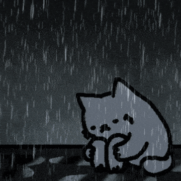 nub-cat-nub