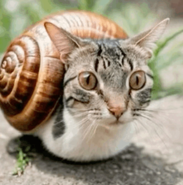 SPOILER_891da652e36f3a6b8dc0fdd3d25f73d46d2956ef