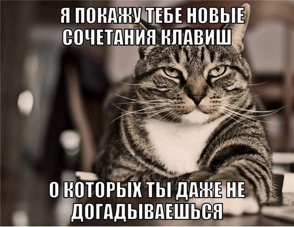 p_2AnrvZcD9JS1N4UqjGNDSwu3ClGR1v2cd-Oz0ZCKSUPeGGicBmcm7VmVdajfC9uZhDuVfucEOUBhjX8BxE2nnS