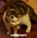 Непонел