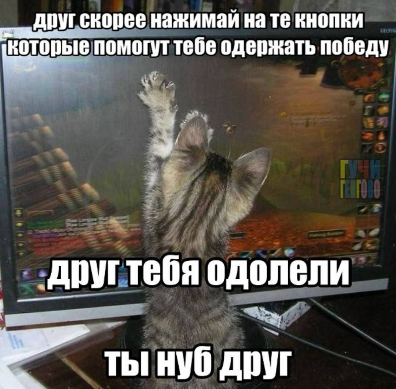 IMG_20260929_033605_270