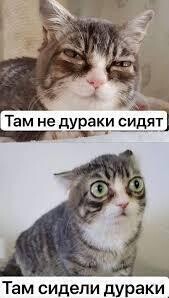 136f995c-b23f-5a9d-999c-9625c9031196