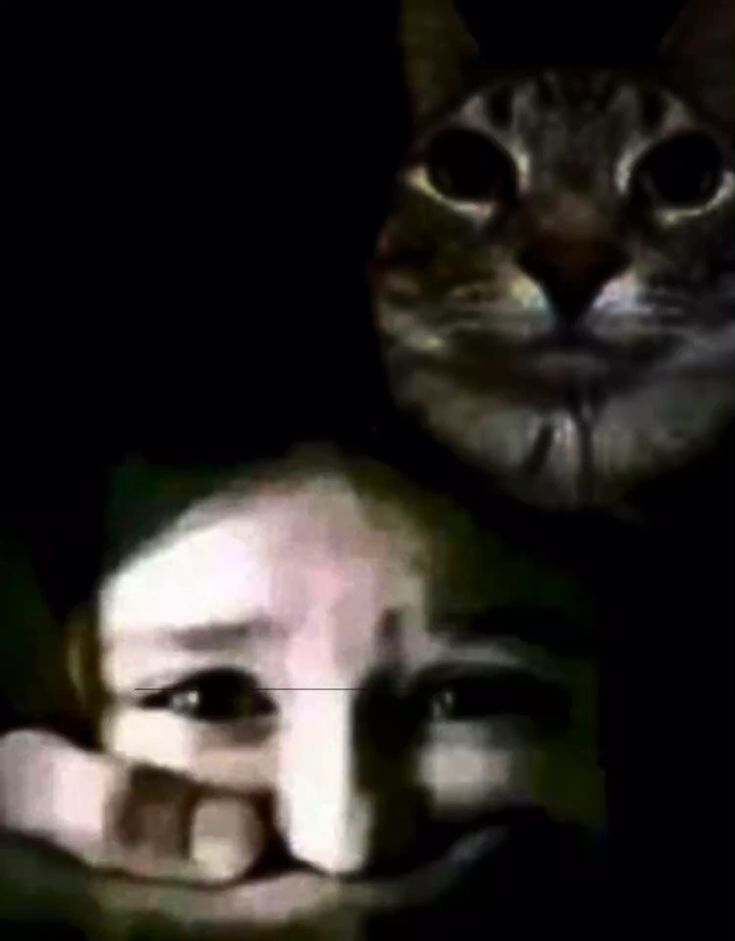 4a674f8c05f9c3363eb87297839aacb4