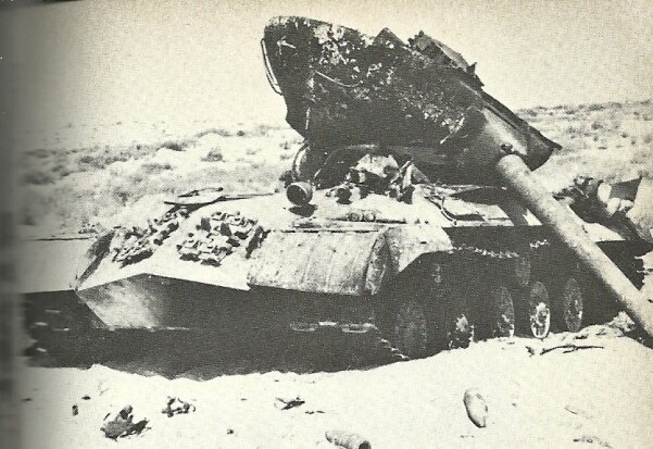 scale_1200 (4)