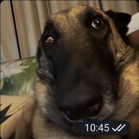 Screenshot_20261030_104551_exteraGram